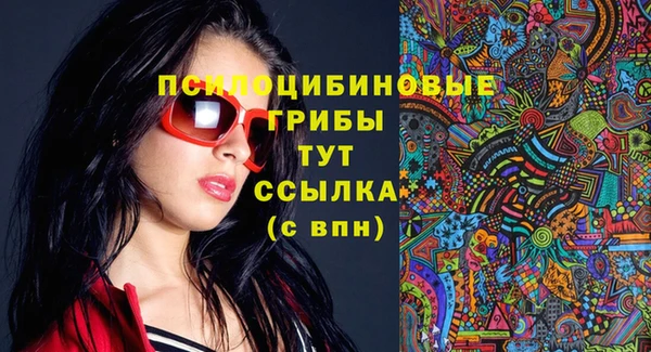 прущие грибы Киреевск